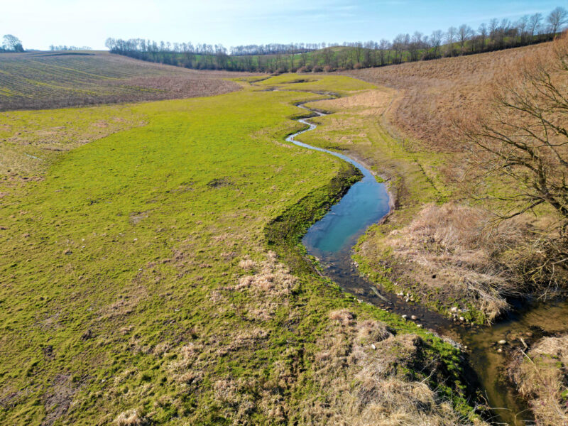 Vandløbsgenopretning ved Møllebæk